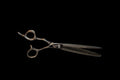 7" NPK15 Slider Ball Bearing 24 Tooth Chunker Texturizing Pet Grooming Shear