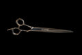 8" Straight Moonwalker Ball Bearing VG-10 Grooming Shear