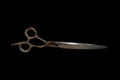 8" BP5 Curved Grooming Shears