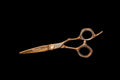 5.5" RZL Rose Gold Hair Cutting Beauty Shears